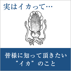 皆様に知って頂きたい”イカ”のこと